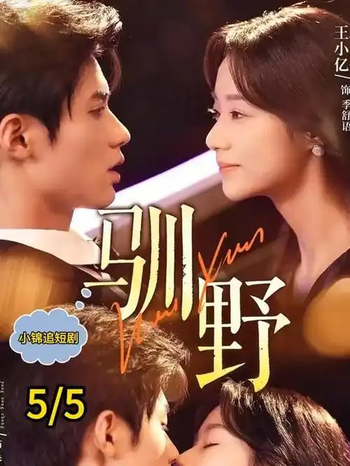 69免费视频剧集无声证词海报
